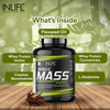 Inlife Muscle Mass Gainer With Whey Protein Powder Body Building Supplement (Chocolate 3 Kg)