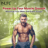Inlife Muscle Mass Gainer With Whey Protein Powder Body Building Supplement (Chocolate 3 Kg)
