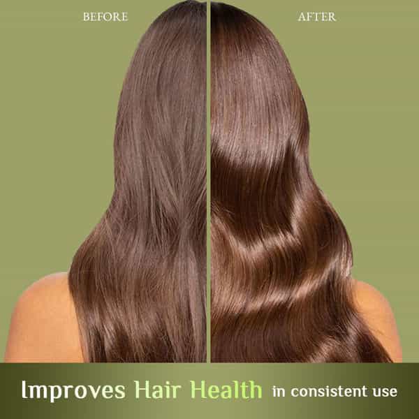 Richfeel Brahmi Intensive Repair Hair Pack 100 G