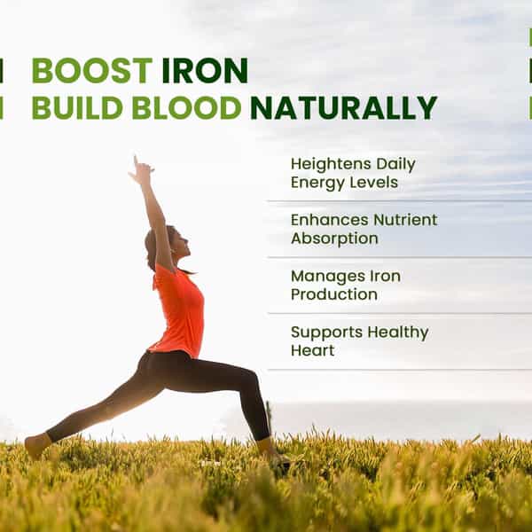 Himalayan Organics Plant Based Iron Supplement | Nutural Blood Builder | Bottle | 60 Veg Capsules