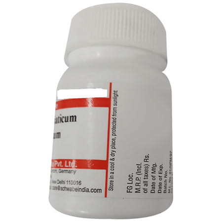 Dr. Willmar Schwabe India Aurum Muriaticum Natronatum Trituration Tablet 3x 20 No'S