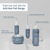 Bare Anatomy Anti-Hair Fall Shampoo | Provides Hair Fall Control| Suitable For All Hair Types 250 Ml