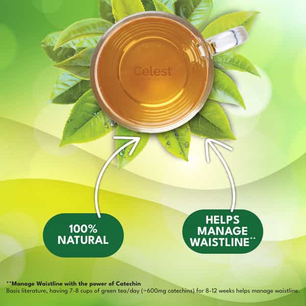 Celest Green Tea 100 Bags - Lemon & Honey