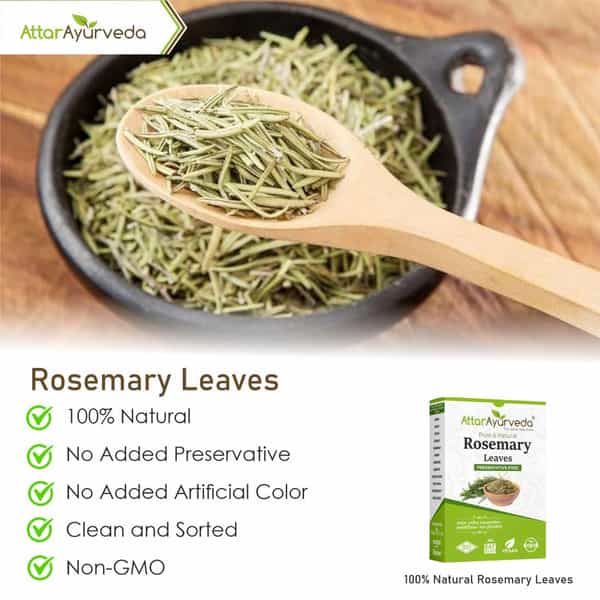 Attar Ayurveda Natural Rosemary Leaves For Hair Growth 100 Grams