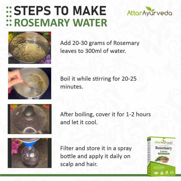 Attar Ayurveda Natural Rosemary Leaves For Hair Growth 100 Grams
