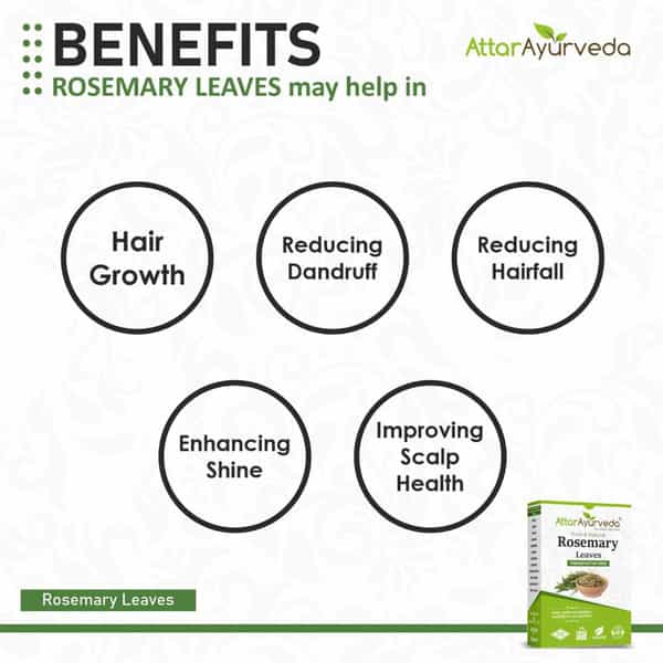 Attar Ayurveda Natural Rosemary Leaves For Hair Growth 100 Grams