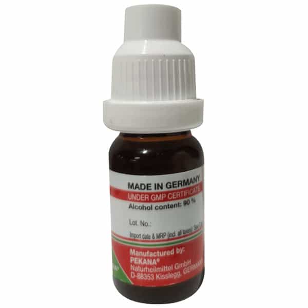 Adel Lycopodium Clavatum Dilution 1M 10 Ml