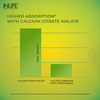 Inlife Calcium Magnesium Zinc Vitamin D K2 Folic Acid & B12- Bone & Joint Supplement- 120 Tablets