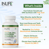 Inlife Calcium Magnesium Zinc Vitamin D K2 Folic Acid & B12- Bone & Joint Supplement- 120 Tablets