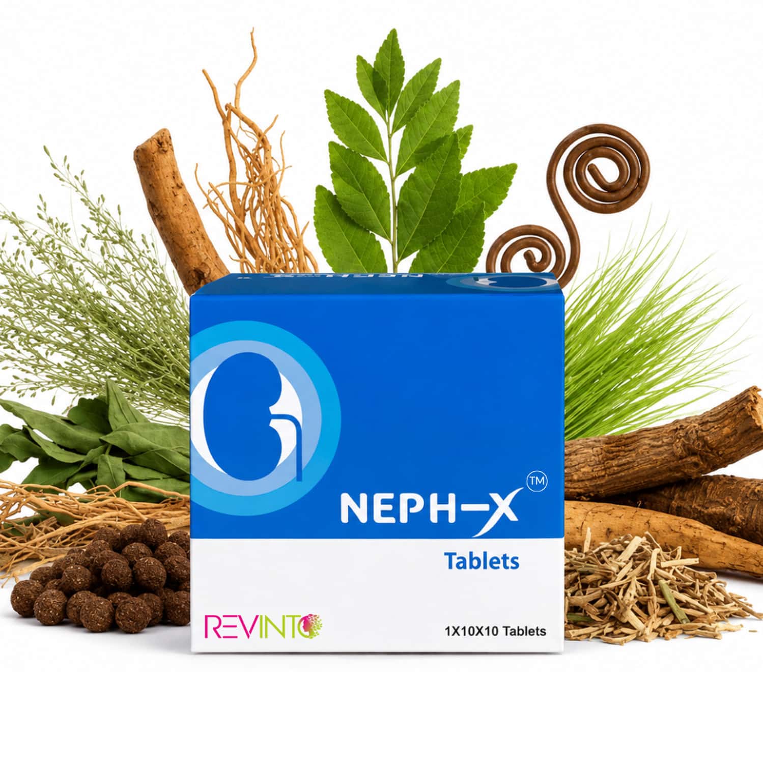 Revinto Neph-X | Advanced Kidney Support | 100n
