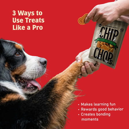 Chip Chops Chicken Codfish Rolls Dog Treat 70 Gm