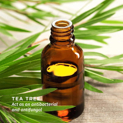 View product image 6