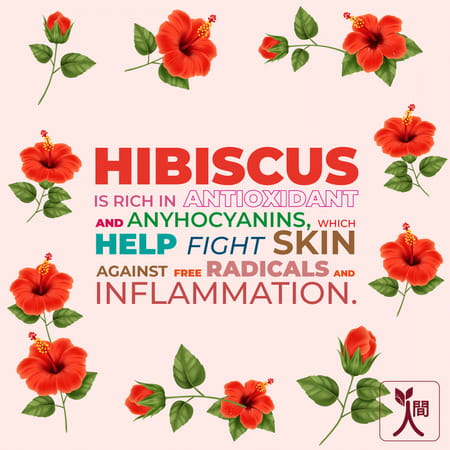Ningen Hibiscus Hair Pack Goodness Of Amla And Heena Removes Dandruff And Prevents Greying- 100g
