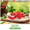 Organic Harvest Red Tinted Lip Balm: Hibiscus | Lip Balm For Women & Men| Paraben Free |10Gm