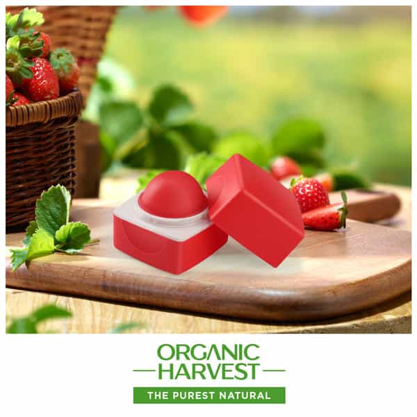 Organic Harvest Red Tinted Lip Balm: Hibiscus | Lip Balm For Women & Men| Paraben Free |10Gm