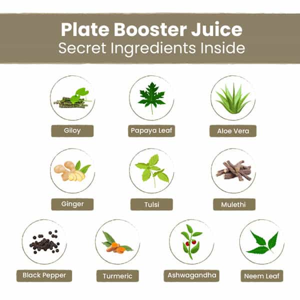 Nutriorg Plate Booster Juice 500Ml