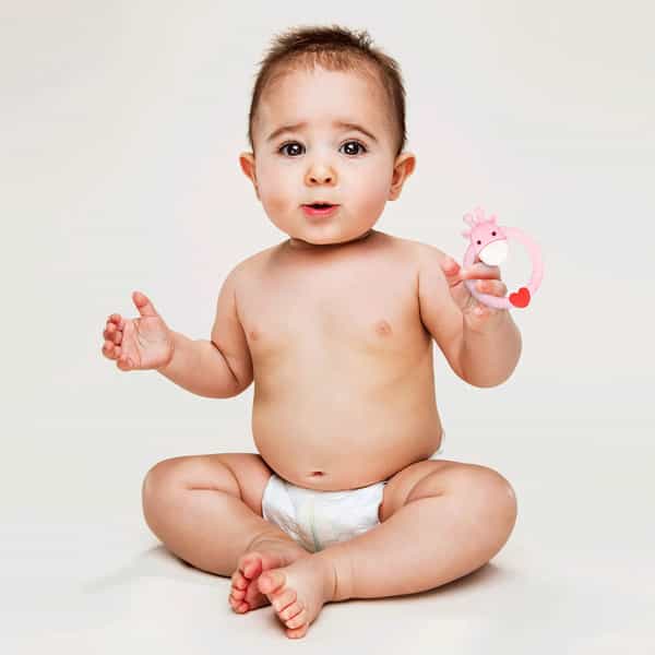 R For Rabbit Giraffe Teether Pink