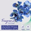 Plum Bodylovin' Orchid- You- Not Eau De Parfum (15 Ml) - 15 Ml