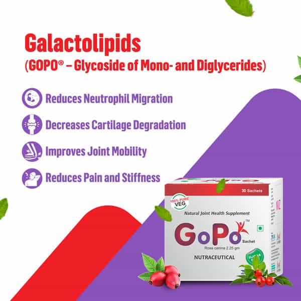Gopo Rosehip Powder - Joints & Skin Health | Immunity - Full Family - 30 Sachets (2.32Gm Each)