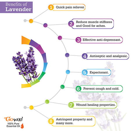 Pack Of 2 Lavender Essential Oil & Musk Melon Carrier Oil - 100% Natural Therapeutic Grade