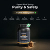 Nutrabay Gold 100% Whey Protein Concentrate Rich Chocolate Creme - 1Kg