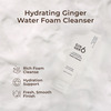 Ginger6 Hydrating Ginger Water Foam Cleanser With Salicylic Acid And Hyaluronic Acid - 150Ml