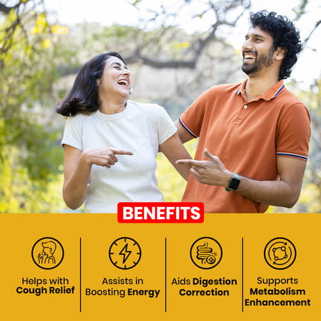 Baidyanath Bhringrajasava 450 Ml