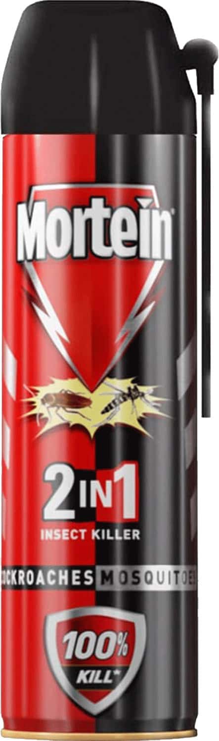Mortein 2 In 1 Insect Killer 600ml Spray