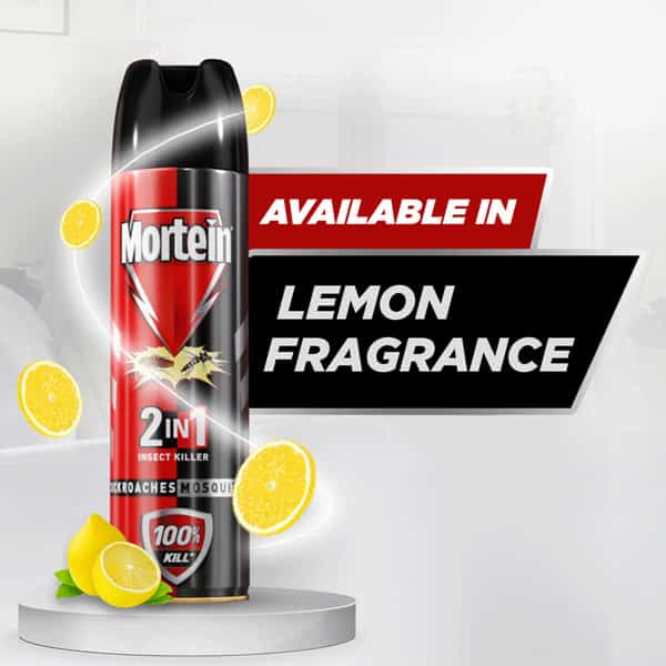 Mortein 2 In 1 Insect Killer 600Ml Spray