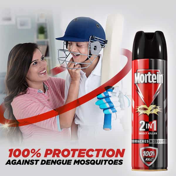 Mortein 2 In 1 Insect Killer 600Ml Spray