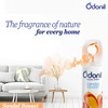 Dabur Odonil Room Spray Sandal Bouquet 240Ml