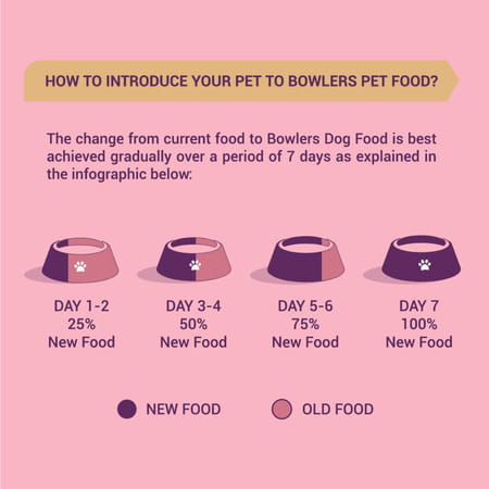 Bowlers Nutrimax Puppy Dry Dog Food | Chicken & Milk |10 Kg | Smooth Digestion & Healthy Coat