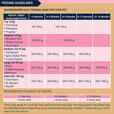 Bowlers Nutrimax Puppy Dry Dog Food | Chicken & Milk |10 Kg | Smooth Digestion & Healthy Coat