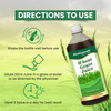 Baidyanath Ayurved Wheatgrass Juice 1L | Natural Detox & Wellness