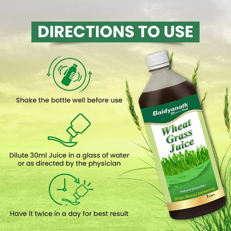 Baidyanath Ayurved Wheatgrass Juice 1L | Natural Detox & Wellness