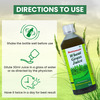 Baidyanath Wheatgrass Juice 1 Ltr