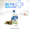 Lizol Pine Disinfectant Floor Cleaner Liquid Bottle Of 500 Ml