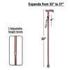 Besafe Forever Walking Stick For Patients | Unisex | Foldable | Aluminum | Bronze