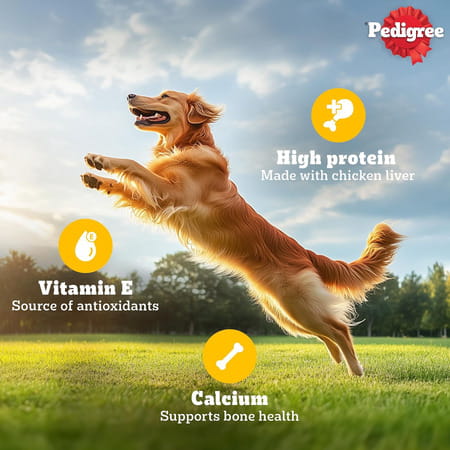 Pedigree Tasty Jerky Dog Treat | Chicken Flavour | 70 G X 12 | Jerky-Style Treats For Bonding