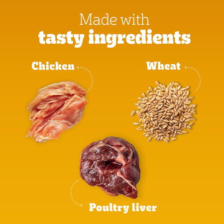 Pedigree Tasty Jerky Dog Treat | Chicken Flavour | 70 G X 12 | Jerky-Style Treats For Bonding