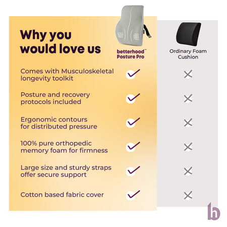 Betterhood Grey Memory Foam Ergonomic Lumbar Support Backrest Cushion For Chair