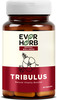 Everherb (By Pharmeasy) Tribulus (Gokshura) - Herbal Testosterone Booster - Bottle Of 60 Capsules