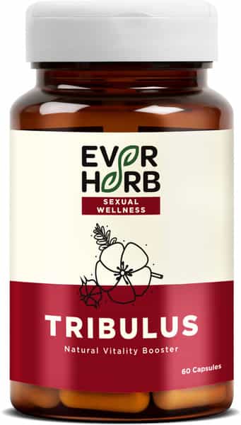 Everherb (By Pharmeasy) Tribulus (Gokshura) - Herbal Testosterone Booster - Bottle Of 60 Capsules