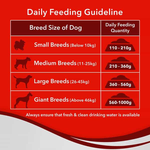 Drools Optimum Performance Adult Dry Dog Food | Chicken Flavor | 10Kg | 1 Count