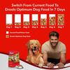Drools Optimum Performance Adult Dry Dog Food | Chicken Flavor | 10kg | 1 Count
