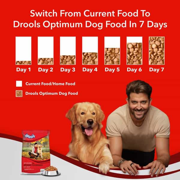 Drools Optimum Performance Adult Dry Dog Food | Chicken Flavor | 10Kg | 1 Count