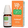 Dr. Willmar Schwabe India Colikind Globules 10 Gm