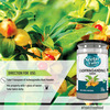 Nectar Valley Ashwagandha Powder | Helps To Boost Immunity | Indian Ginseng Powder | 250G