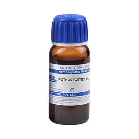 Bjain Homeopathic Pothos Foetidus Q Mother Tincture | 30ml