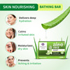 Ayouthveda Aloe Vera Bathing Soap With Aloe Vera & Peppermint To Moisturize & Soothe Skin 100 Gm